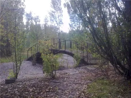 Похід в чорнобильську зону, чорнобильська зона очима сталкера (похід) Похід в чорнобильську зону, чорнобильська зона очима сталкера
