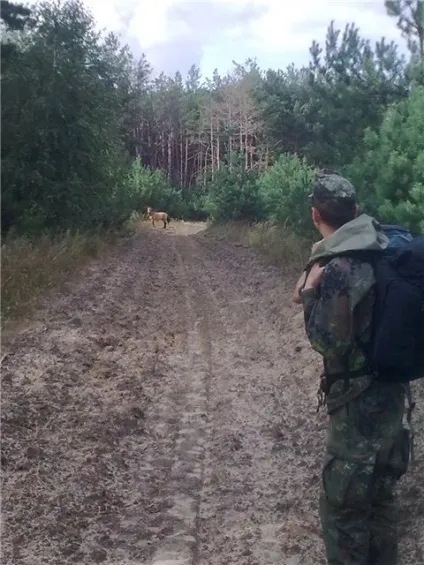 Похід в чорнобильську зону, чорнобильська зона очима сталкера (сталкера) Похід в чорнобильську зону, чорнобильська зона очима сталкера