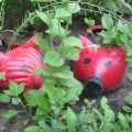 Предметно-розвиваюче середовище своїми руками в групі дитячого садка