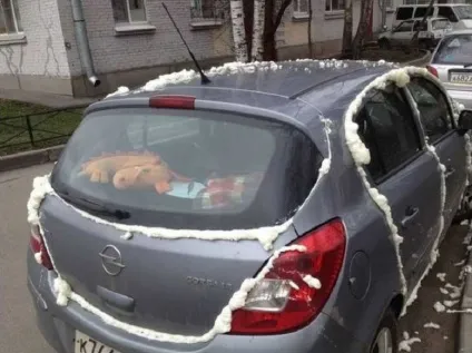 Злочин і покарання 23 випадки, коли винні люди, а страждають їхні чотириколісні улюбленці (коли винні люди) Злочин і покарання 23 випадки, коли винні люди, а страждають їхні чотириколісні улюбленці