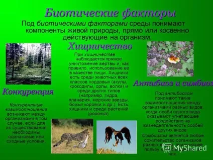 Презентація на тему пристосованість організмів до умов зовнішнього середовища як результат дії (пристосованість) Презентація на тему пристосованість організмів до умов зовнішнього середовища як результат дії