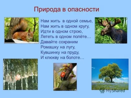 Презентація на тему презентація - збережемо природу рідного краю - (краю) Презентація на тему презентація - збережемо природу рідного краю -