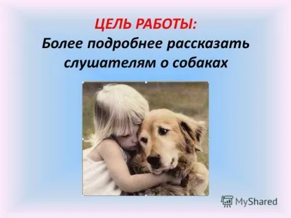 Презентація на тему науково-дослідницька робота - собаки в моєму житті - (собаки) Презентація на тему науково-дослідницька робота - собаки в моєму житті -