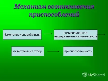 Презентація на тему пристосованість організмів до умов зовнішнього середовища як результат дії (пристосованість) Презентація на тему пристосованість організмів до умов зовнішнього середовища як результат дії