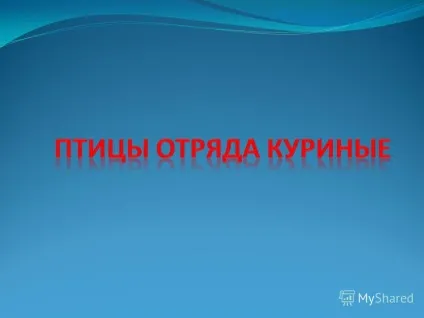 Презентація на тему чому в народі кажуть курка не птах напевно, тому, що справжній політ (презентація) Презентація на тему чому в народі кажуть курка не птах напевно, тому, що справжній політ
