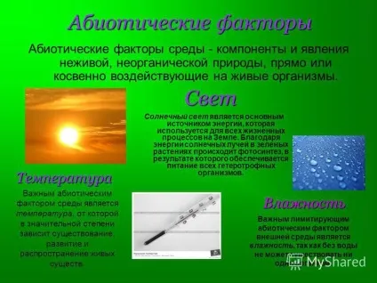 Презентація на тему пристосованість організмів до умов зовнішнього середовища як результат дії (умовам) Презентація на тему пристосованість організмів до умов зовнішнього середовища як результат дії