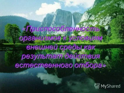 Презентація на тему пристосованість організмів до умов зовнішнього середовища як результат дії ( «пристосованість організмів до умов зовнішнього середовища як результат дії природного відбору») Презентація на тему пристосованість організмів до умов зовнішнього середовища як результат дії
