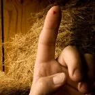 Прикмети і забобони про любов тлумачення прийме