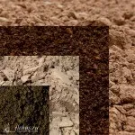 Проект готової композиції «квітучий куточок саду» для realtime landscaping architect 2016, (композиції) Проект готової композиції «квітучий куточок саду» для realtime landscaping architect 2016,