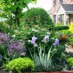 Проект готової композиції «квітучий куточок саду» для realtime landscaping architect 2016, (3d квітник) Проект готової композиції «квітучий куточок саду» для realtime landscaping architect 2016,