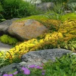 Проект готової композиції «квітучий куточок саду» для realtime landscaping architect 2016, (3d квітник) Проект готової композиції «квітучий куточок саду» для realtime landscaping architect 2016,