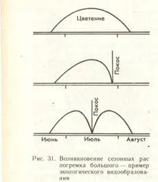 Пріспособленность- результат дії факторів еволюції (дії) Пріспособленность- результат дії чинників еволюції