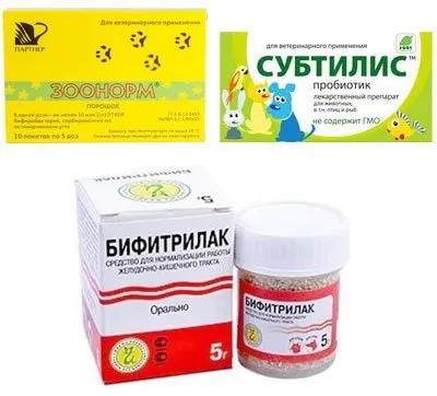 Прибуток для кішок