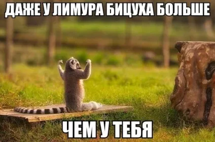 Приколи про фітнес і спортзал (24 фото) - прикольні картинки і гумор (спортзал) Приколи про фітнес і спортзал (24 фото) - прикольні картинки і гумор