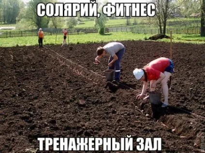 Приколи про фітнес і спортзал (24 фото) - прикольні картинки і гумор (спортзал) Приколи про фітнес і спортзал (24 фото) - прикольні картинки і гумор