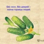 Проукраїнський це значить - що означає слово проукраїнський, НОКК і я