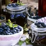 Прості заготовки з чорниці на зиму кращі рецепти (чорниці) Прості заготовки з чорниці на зиму кращі рецепти
