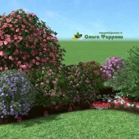 Проект готової композиції «квітучий куточок саду» для realtime landscaping architect 2016, (готовий квітник) Проект готової композиції «квітучий куточок саду» для realtime landscaping architect 2016,