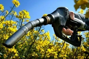 Виробництво біодизеля своїми руками (біодизеля) Виробництво біодизеля своїми руками