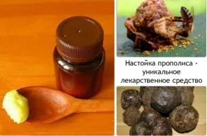 Прополіс від горла полоскання і рецепти для лікування (лікування) Прополіс від горла полоскання і рецепти для лікування