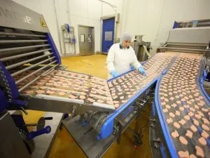 Виробництво напівфабрикатів як бізнес з чого почати (виробництво) Виробництво напівфабрикатів як бізнес з чого почати