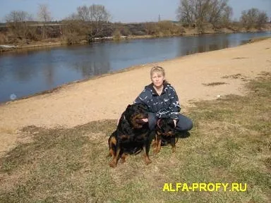 Професійний розплідник ротвейлерів - альфа-профі - майбутньому власнику (розплідник) Професійний розплідник ротвейлерів - альфа-профі - майбутньому власнику