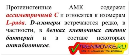 Протеїногенні амінокислоти - властивості, класифікація, хімічний склад (Протеїногенні амінокислоти формули) Протеїногенні амінокислоти - властивості, класифікація, хімічний склад
