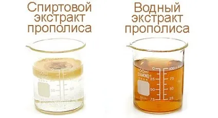 Прополіс допоможе в боротьбі туберкульозом, народний лікарський порадник (прополіс) Прополіс допоможе в боротьбі туберкульозом, народний лікарський порадник