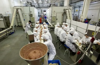 Виробництво напівфабрикатів як бізнес на дому як відкрити, бізнес план (дому) Виробництво напівфабрикатів як бізнес на дому як відкрити, бізнес план