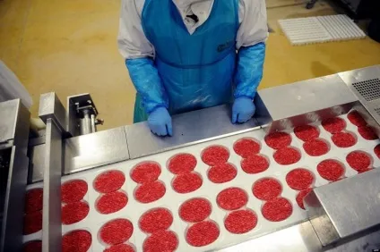 Виробництво напівфабрикатів як бізнес на дому як відкрити, бізнес план (бізнес) Виробництво напівфабрикатів як бізнес на дому як відкрити, бізнес план