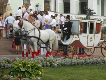 Прокат коней на весілля, коні на весілля - весілля на конях (карета на весілля) Прокат коней на весілля, коні на весілля - весілля на конях