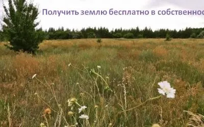 Робота з кадастрової картою, прибуткове маєток (знайти ділянку на кадастровій карті) Робота з кадастрової картою, прибуткове маєток