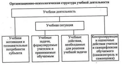Психологічна детермінація розвитку особистості - психологія (розвитку) Психологічна детермінація розвитку особистості - психологія