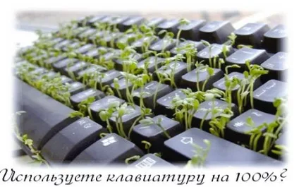 Punto switcher - завантажити, встановити і налаштувати (скачати) Punto switcher - завантажити, встановити і налаштувати