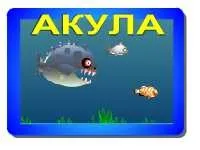 розфарбування поні