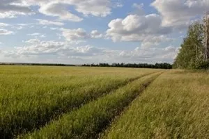Дозвіл на використання земельної ділянки що це таке, зразок в статті (дозвіл) Дозвіл на використання земельної ділянки що це таке, зразок в статті