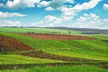 Дозвіл на використання земельної ділянки (дозвіл) Дозвіл на використання земельної ділянки