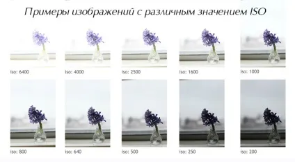 Розширений діапазон iso дійсно корисна функція або хитрий маркетинговий хід (теорія фотографії) Розширений діапазон iso дійсно корисна функція або хитрий маркетинговий хід