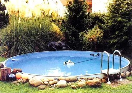 Розведення кролів на дачі (на дачі) Розведення кролів на дачі