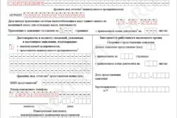 Реєстрація та постановка ип на податковий облік (податковий) Реєстрація та постановка ип на податковий облік