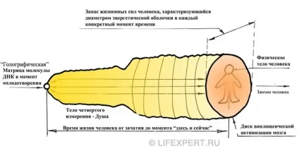 Регресія в минулі життя