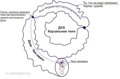 Регресія в минулі життя