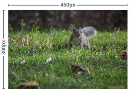 Редагування фотографій - що потрібно знати новачку (редагування) Редагування фотографій - що потрібно знати новачку