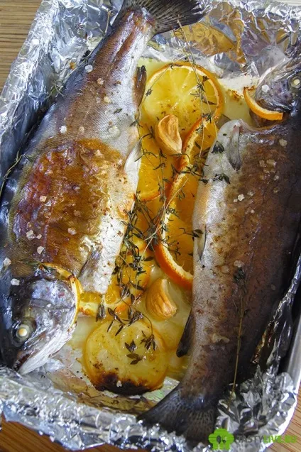 Річкова форель в духовці, смачні рецепти (річкова форель духовці) Річкова форель в духовці, смачні рецепти