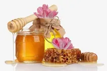 Рецепти масок для волосся з натуральних продуктів (рецепти) Рецепти масок для волосся з натуральних продуктів