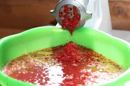 Рецепт лазаньї покрокова інструкція з фото (лазаньї) Рецепт лазаньї покрокова інструкція з фото