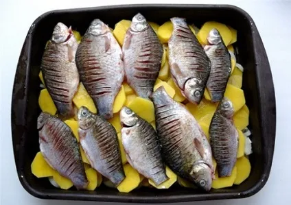 Рецепти з карася з картоплею і правила підготовки риби (картоплею) Рецепти з карася з картоплею і правила підготовки риби