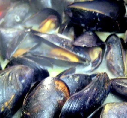 Рецепт суп з мідій по-неаполітанські (zuppa di cozze alla napoletana), крок за кроком, з фото (рецепти неаполітанської кухні) Рецепт суп з мідій по-неаполітанські (zuppa di cozze alla napoletana), крок за кроком, з фото