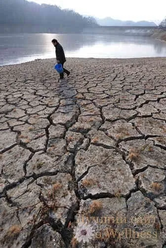 Роль води в житті людини, кращий сайт про wellness (роль води в житті людини) Роль води в житті людини, кращий сайт про wellness