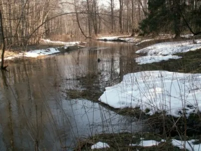 Риболовля під час повені